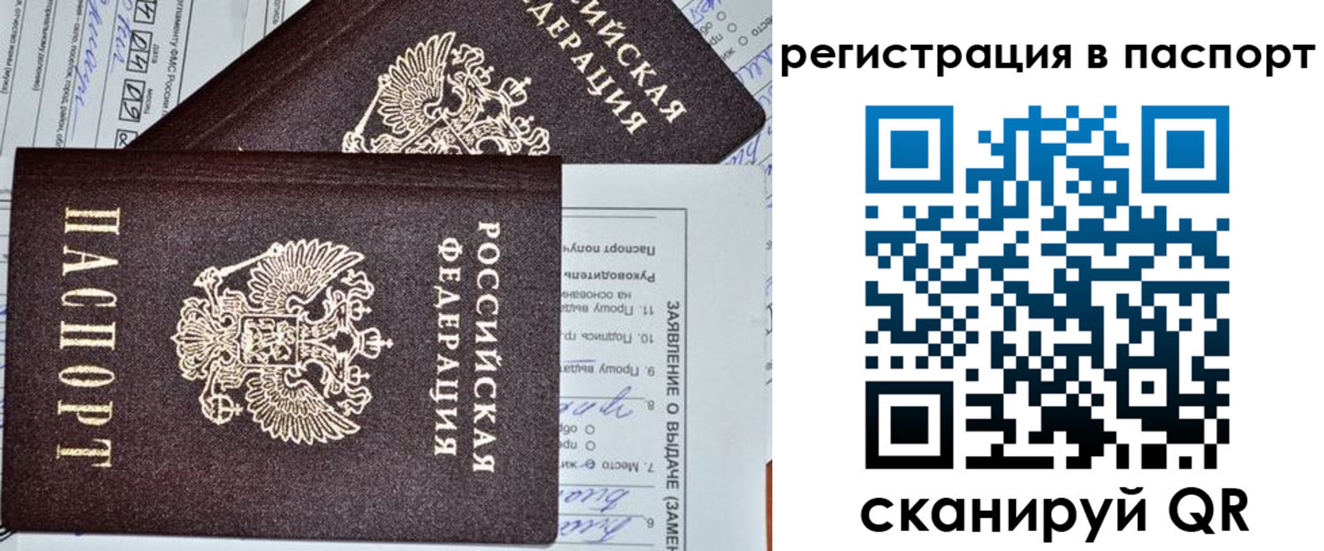прописка законно в Бийске