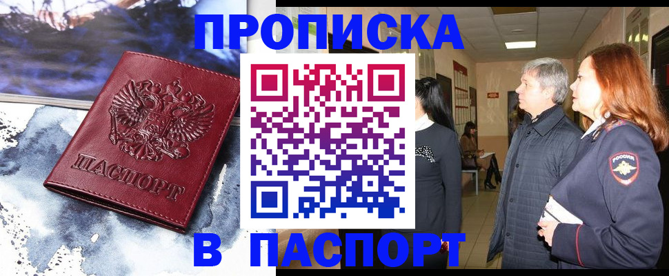 прописка поиск в Бийске